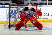 IceHogs vs Iowa Wild - December 29, 2017