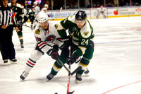 Game 8 vs Iowa Wild - 11-21-14