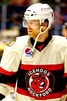 Game 15 vs Chicago Wolves - 12-28-14